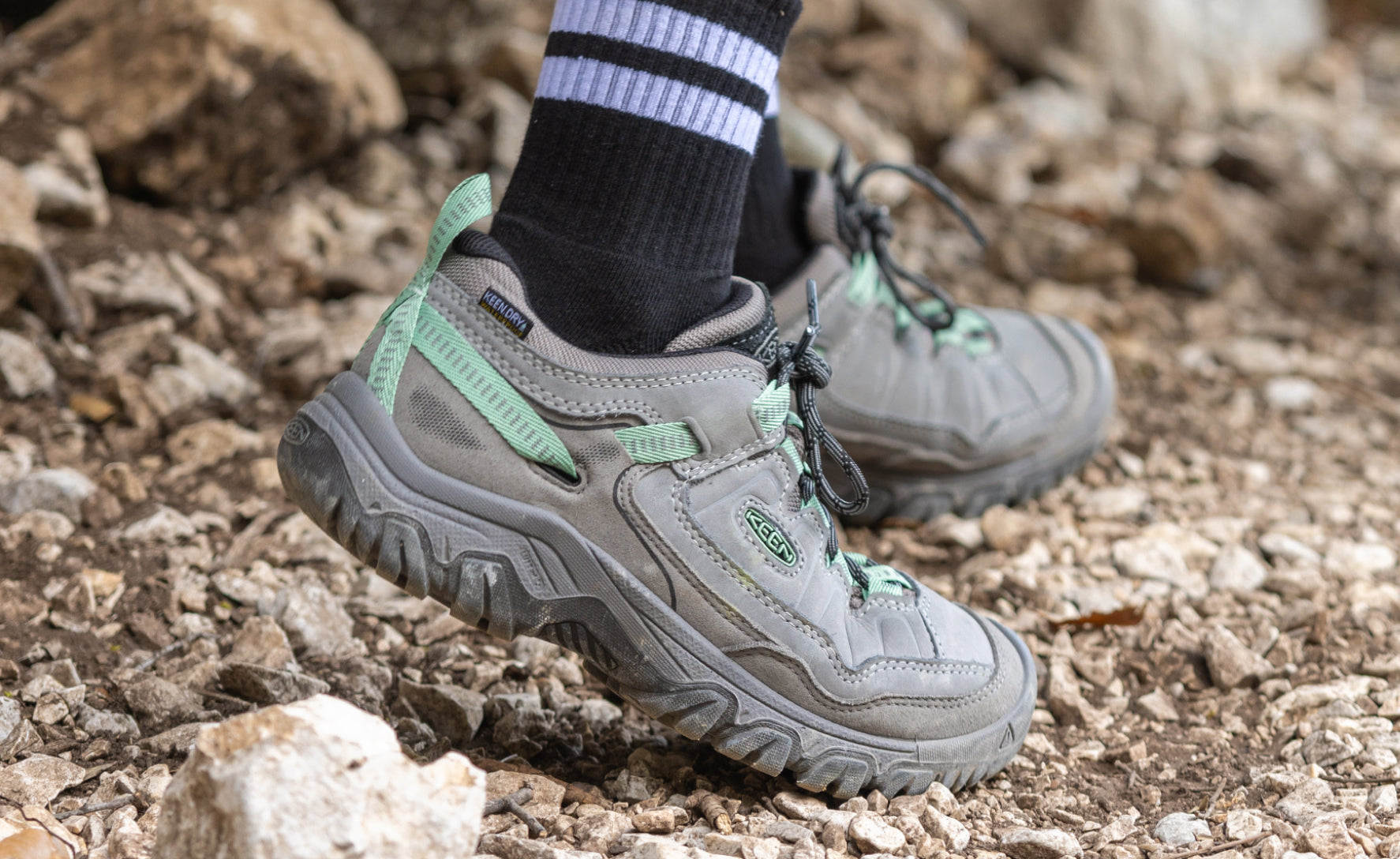 Women's Targhee IV Waterproof Hiking Shoe | Bison/Beaujolais - Image 7